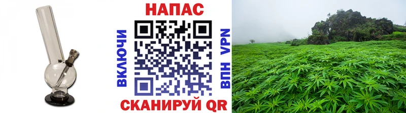 Купить наркотик Змеиногорск Alpha-PVP omg ONION Бошки Шишки Кокаин Меф