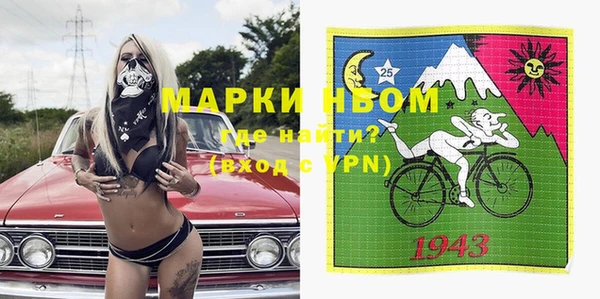 стаф Алексин
