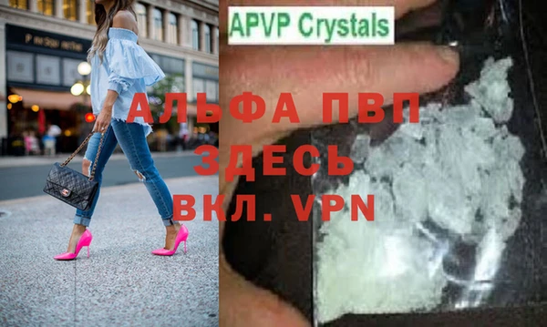 стаф Алексин