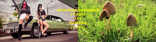 дживик Алексеевка